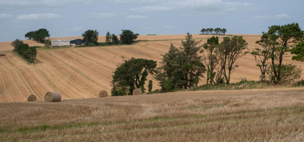 large field with hay bales in the foreground