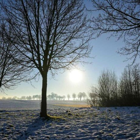 Image of snowy field and sunrise