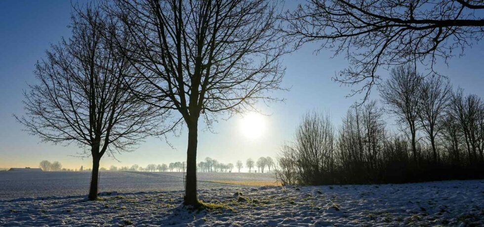 Image of snowy field and sunrise
