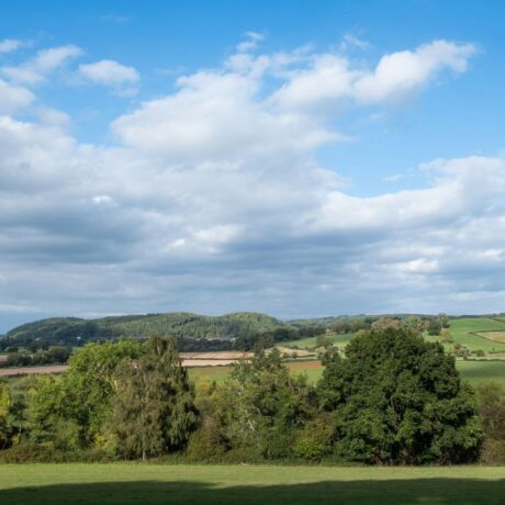green farming landscape with blue sky and clouds