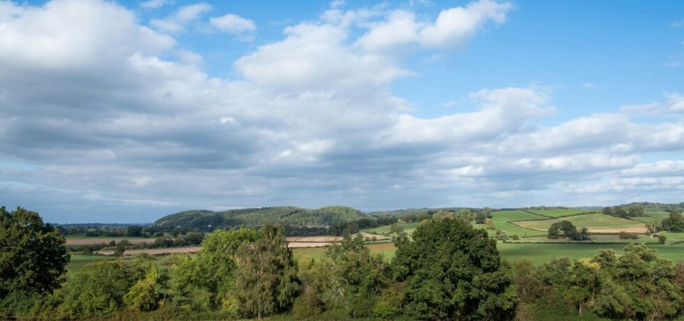 green farming landscape with blue sky and clouds