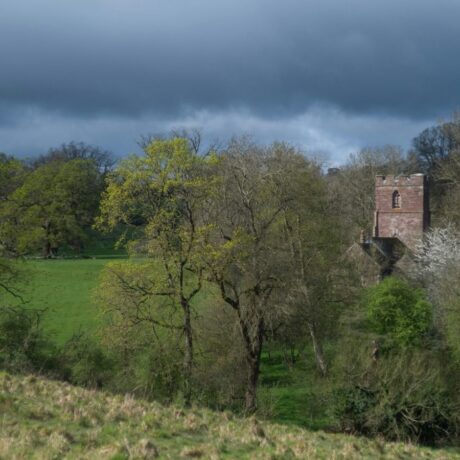 Rural landscape with trees an church
