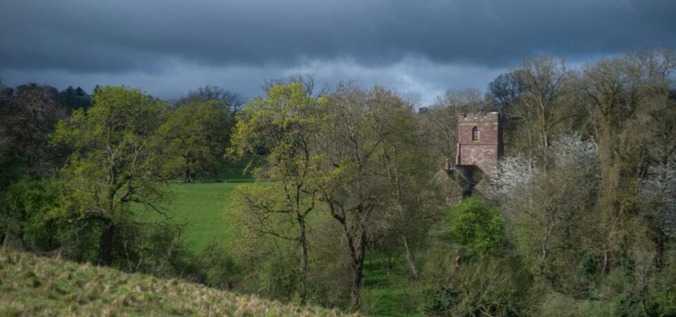 Rural landscape with trees an church