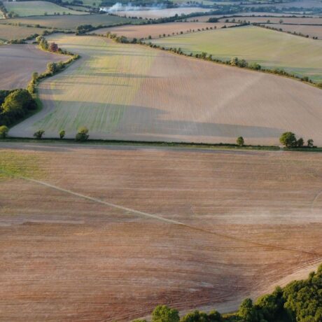 Birdseye view of field landscape