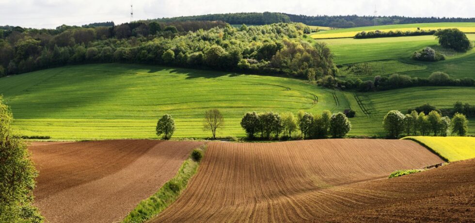 arable fields in spring