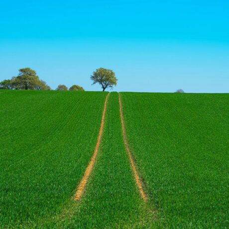 in field tram lines and blue skies