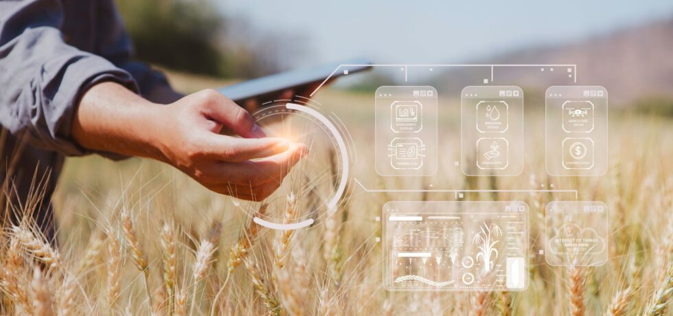 Wheat field with overlay of agricultural data at fingertips