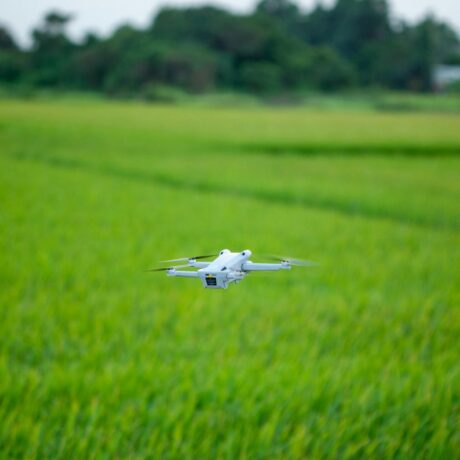 drone in green field