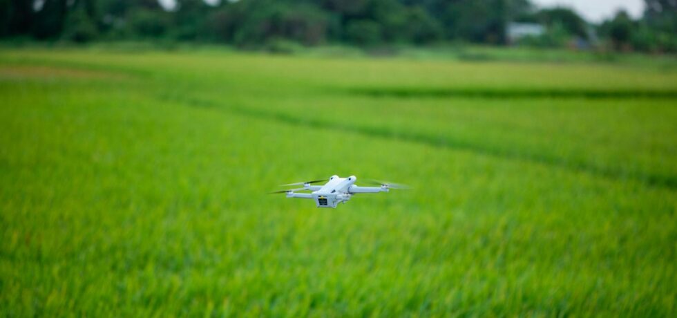 drone in green field