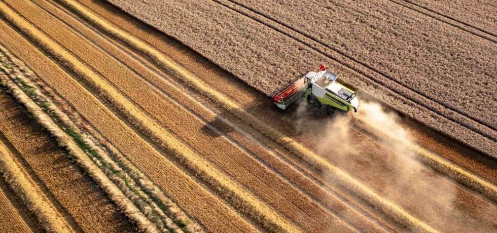 Image of a combine harvesting a field