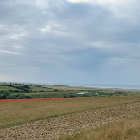 coastal farm land