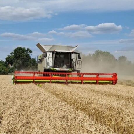 combine at harvest