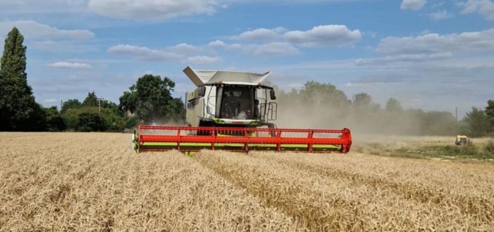 combine at harvest