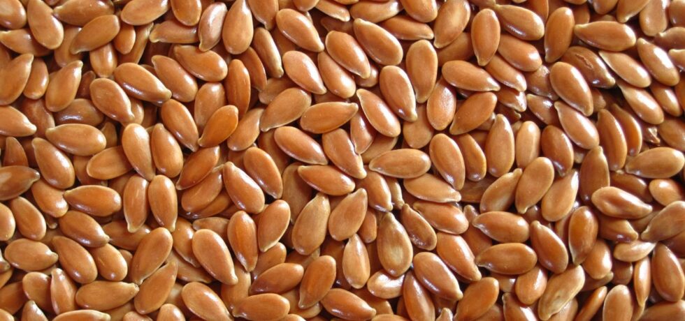 linseed