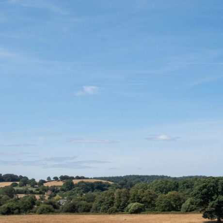 warm dry fields in august