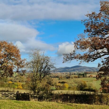 farm landscape with autumn trees