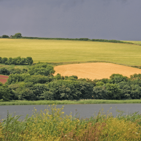 diverse UK farmed landscape featuring productive arable fields, hedgerows, woodland and water features under dramatic skies.