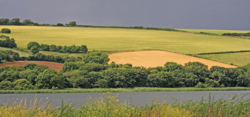 diverse UK farmed landscape featuring productive arable fields, hedgerows, woodland and water features under dramatic skies.