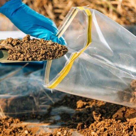 Image of a shovel moving soil into a sample bag